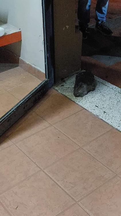 WhatsApp Image 2024-04-05 at 09.57.45