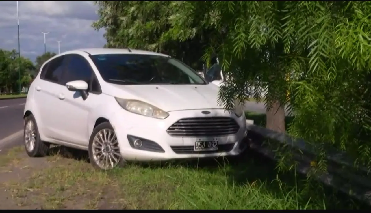 WhatsApp Image 2024-12-17 at 7.54.27 AM