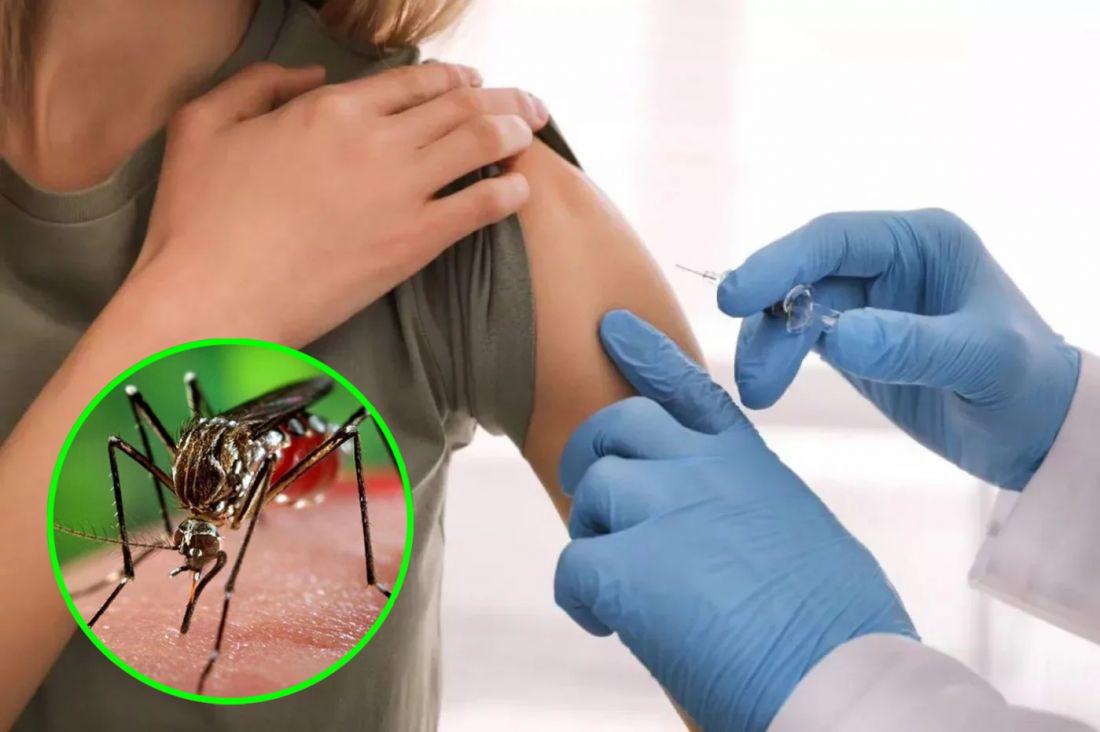 105322-aprobaron-el-uso-de-la-vacuna-del-laboratorio-takeda-contra-el-dengue