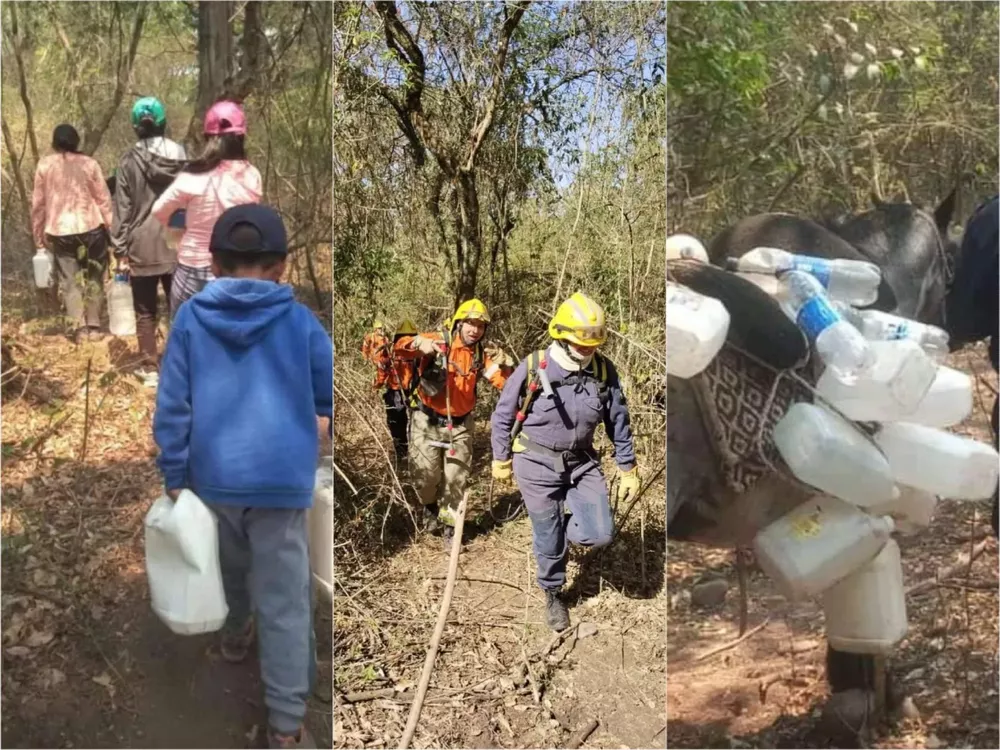 WhatsApp Image 2022-11-08 at 11.00.26