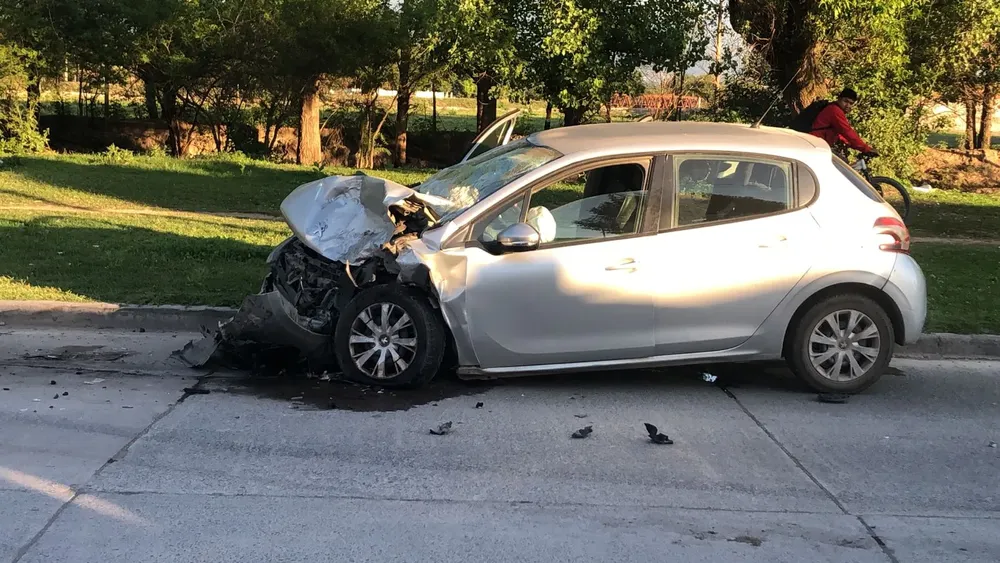 WhatsApp Image 2025-11-03 at 07.19.31