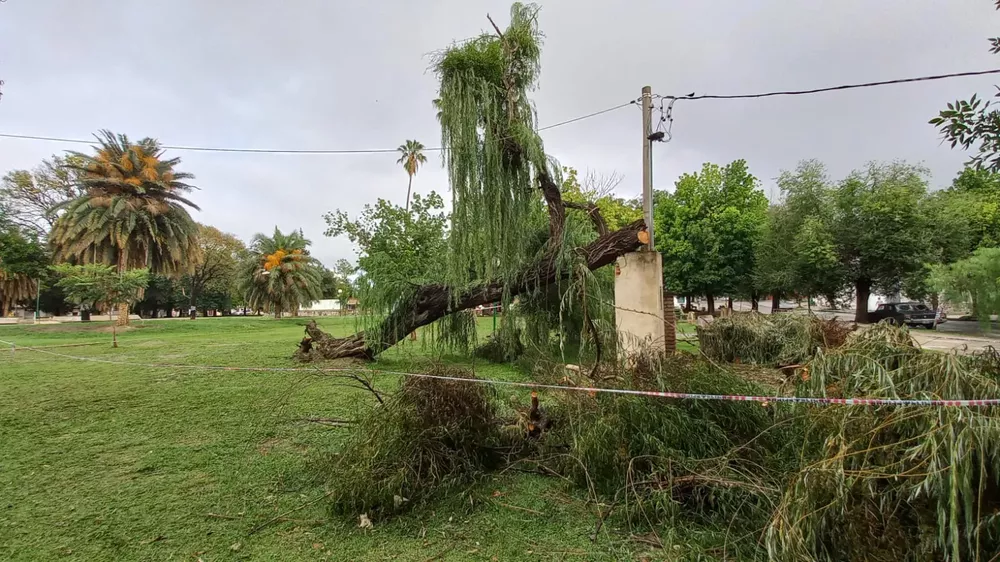 WhatsApp Image 2023-01-30 at 08.43.46