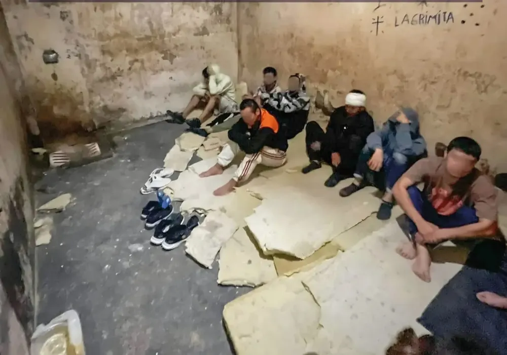 WhatsApp Image 2025-10-30 at 07.53.23