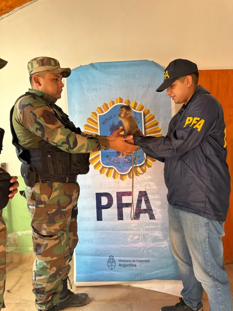 WhatsApp-Image-2025-02-12-at-8.11.09-PM-1-768x1024