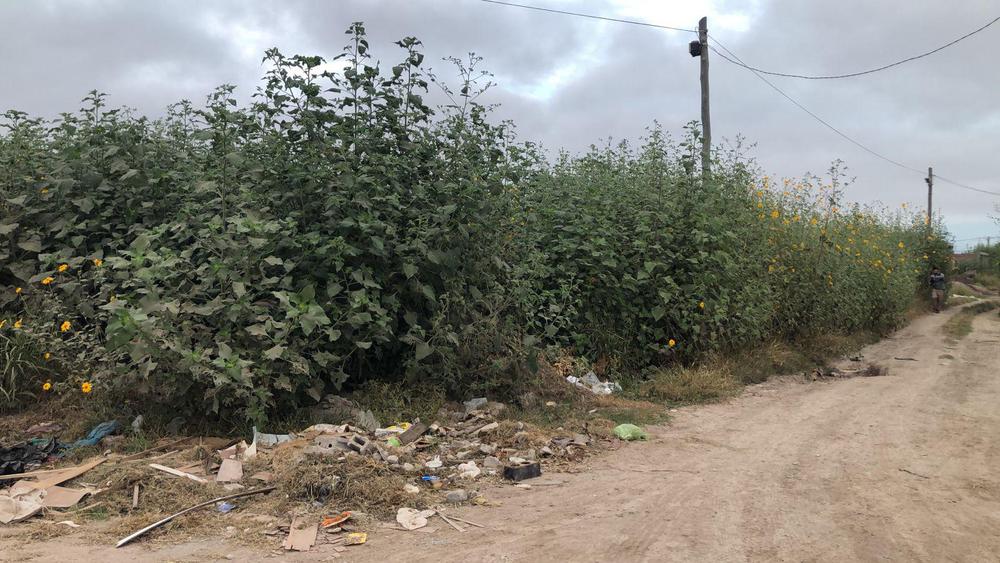 WhatsApp Image 2024-04-26 at 08.43.42