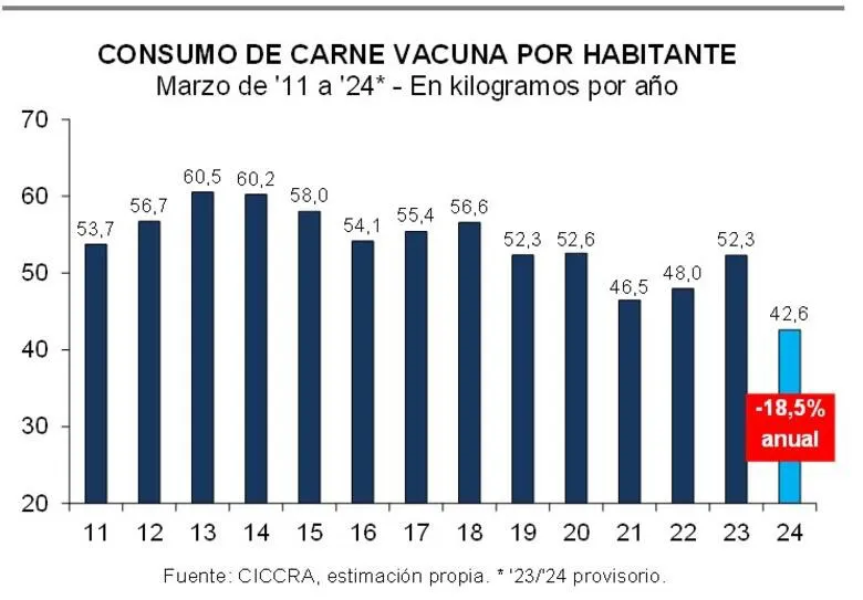 WhatsApp Image 2025-07-07 at 10.44.52