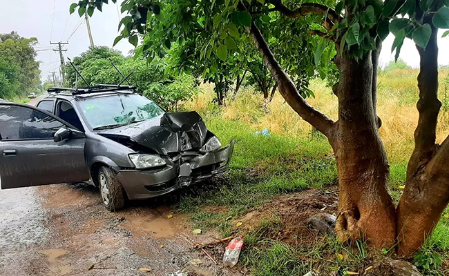 Arbol-Longchamps-2021-4