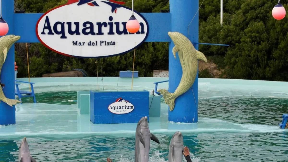 aquarium-2jpg