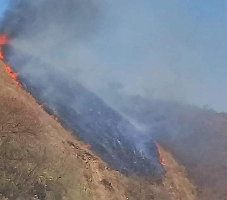 WhatsApp Image 2023-09-18 at 09.04.46