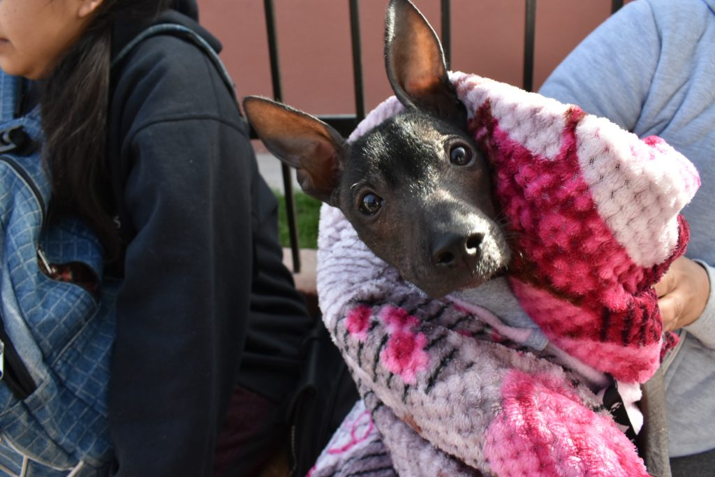 imagen_2024-04-09_121136633