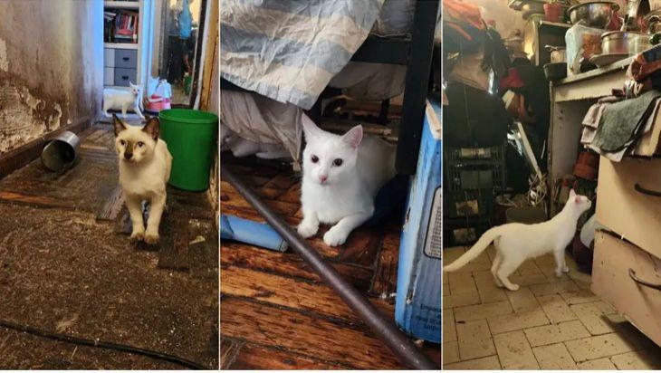 WhatsApp Image 2023-04-13 at 10.44.53