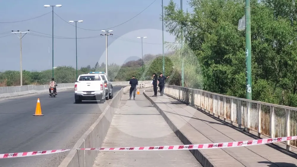 WhatsApp Image 2024-10-03 at 9.39.18 AM