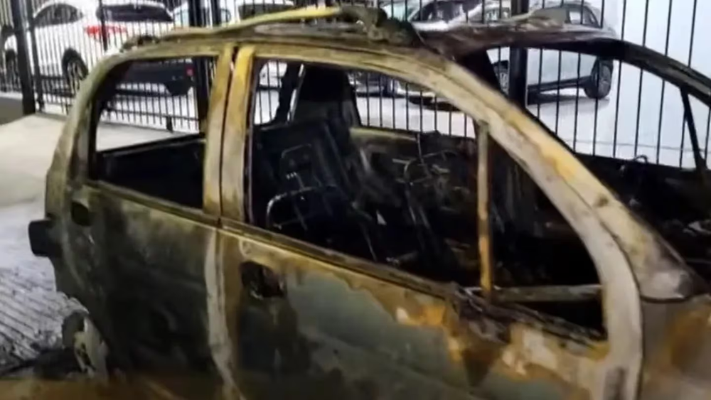 imagen_2024-04-09_100840928