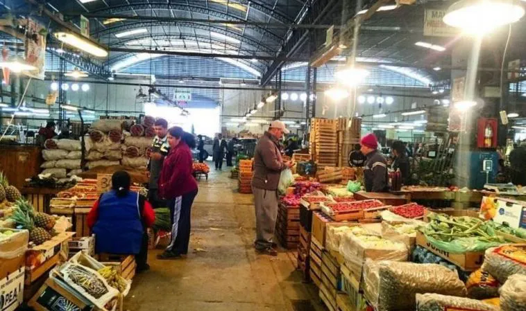 noticia 5 COFRUTHOS