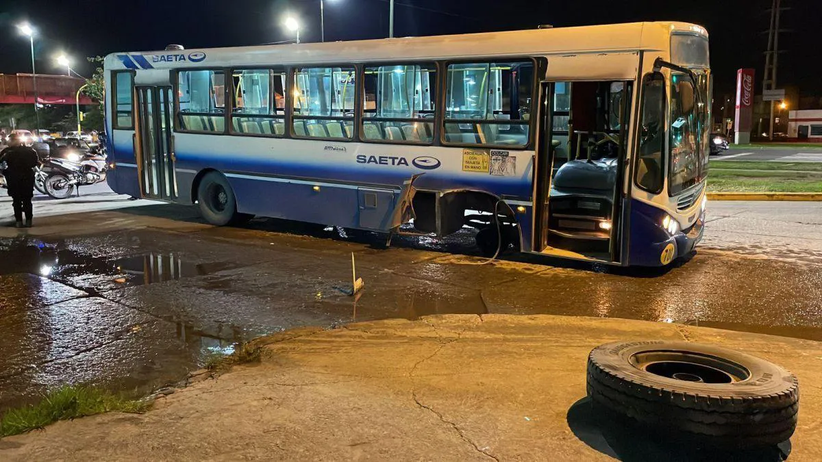 WhatsApp Image 2025-04-24 at 12.51.36