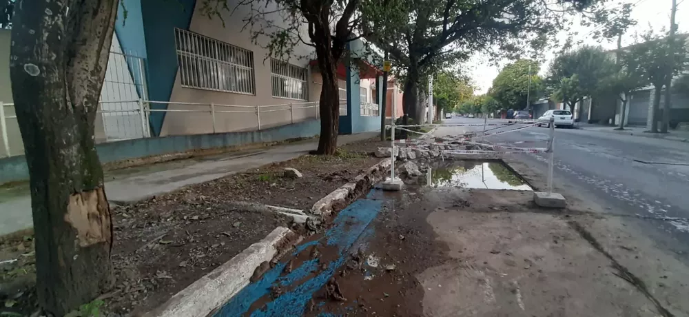 WhatsApp Image 2022-03-18 at 07.42.28