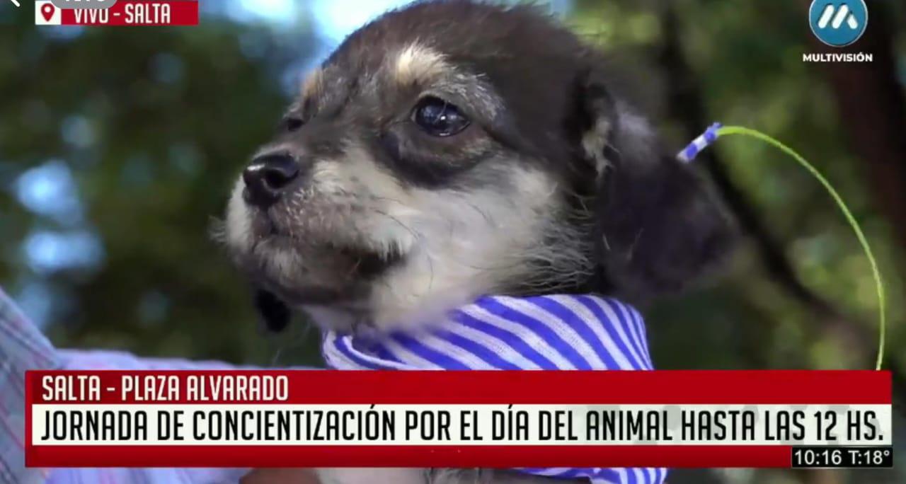 WhatsApp Image 2024-04-29 at 11.04.51 (1)