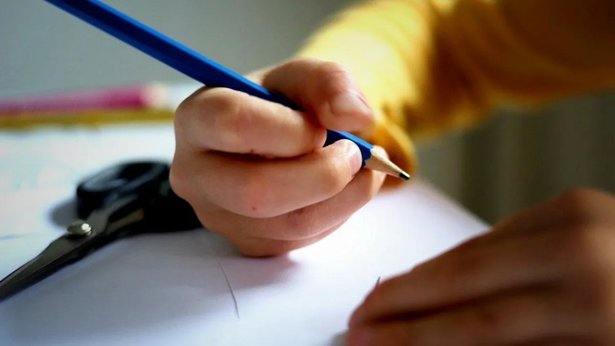 ayuda-escolar-ansesjpg