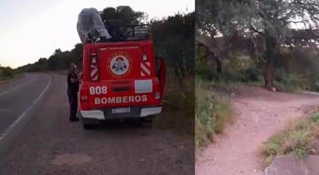 WhatsApp Image 2024-04-21 at 21.17.02