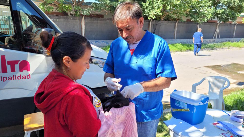 movil-quirurgico-25-2048x1152