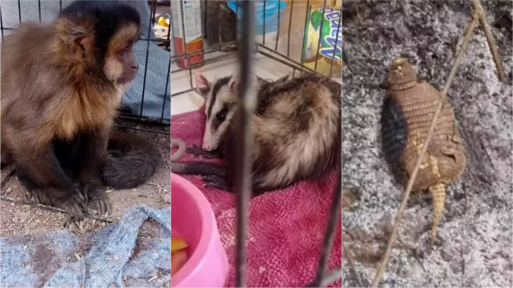 a679a5fc-a0e3-4476-93b9-592dc96cf705