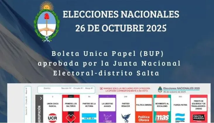 noticia 4 elecciones salta