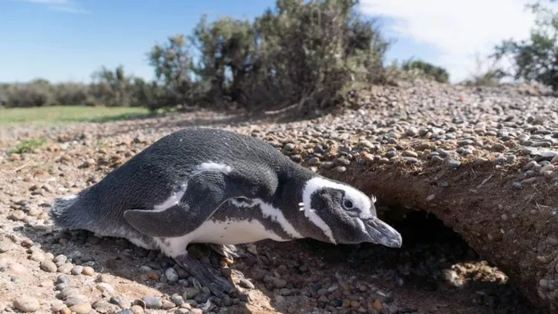 conicet.jpg_815021171