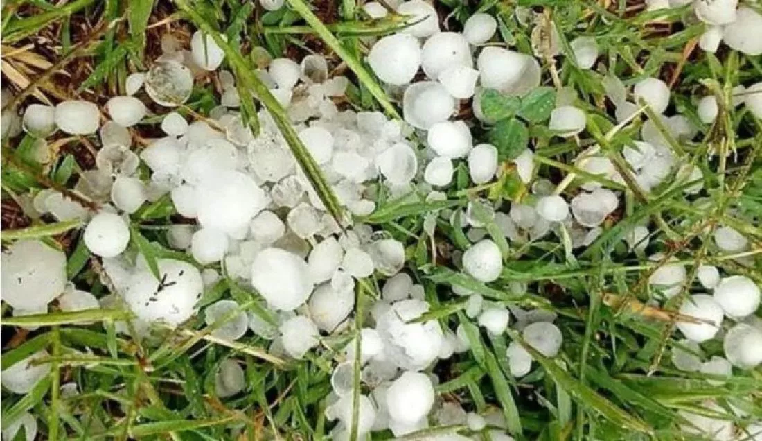 1654-declararon-a-cachi-en-estado-de-emergencia-agropecuaria-por-la-caida-de-granizo