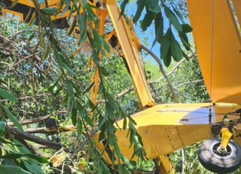 multimedia.normal.b92f4678e8aa1501.YXZpb25ldGFfbm9ybWFsLndlYnA=