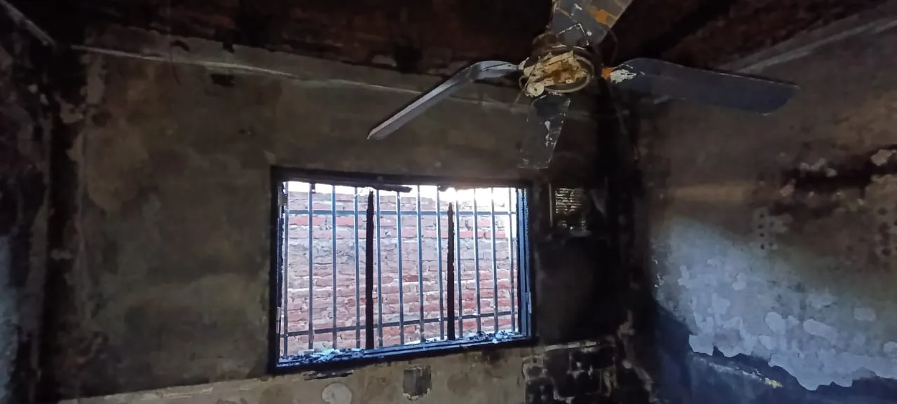 WhatsApp Image 2024-11-14 at 07.24.31