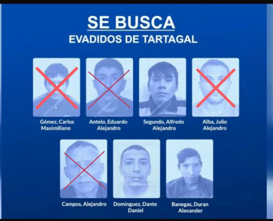 77ceeba7-436b-4a65-aae0-d727597c8797