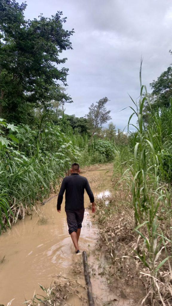 lacustre2-576x1024 (1)