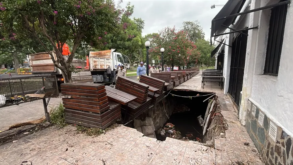 WhatsApp Image 2026-01-05 at 09.03.16