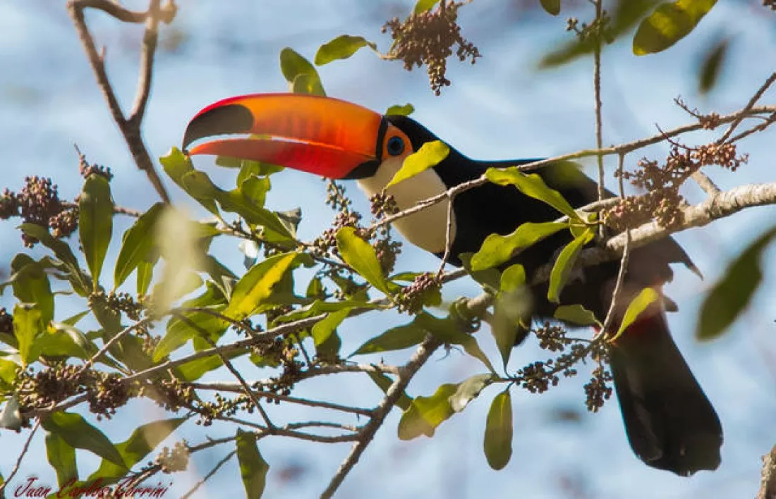 imagen_2024-05-17_085815885