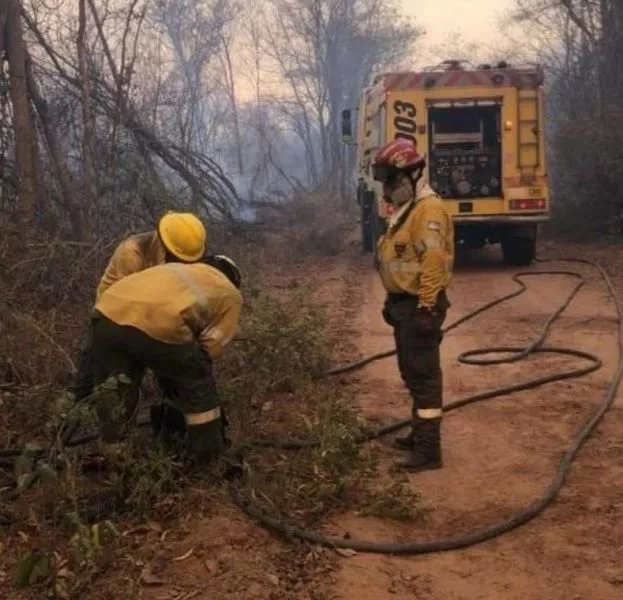 4723-incendios-forestales-en-la-provincia