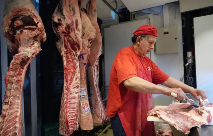 6 CARNE