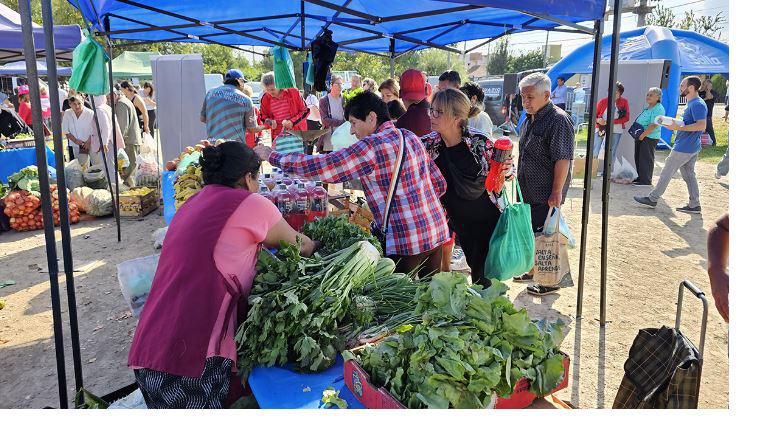 mercado en tu barrio