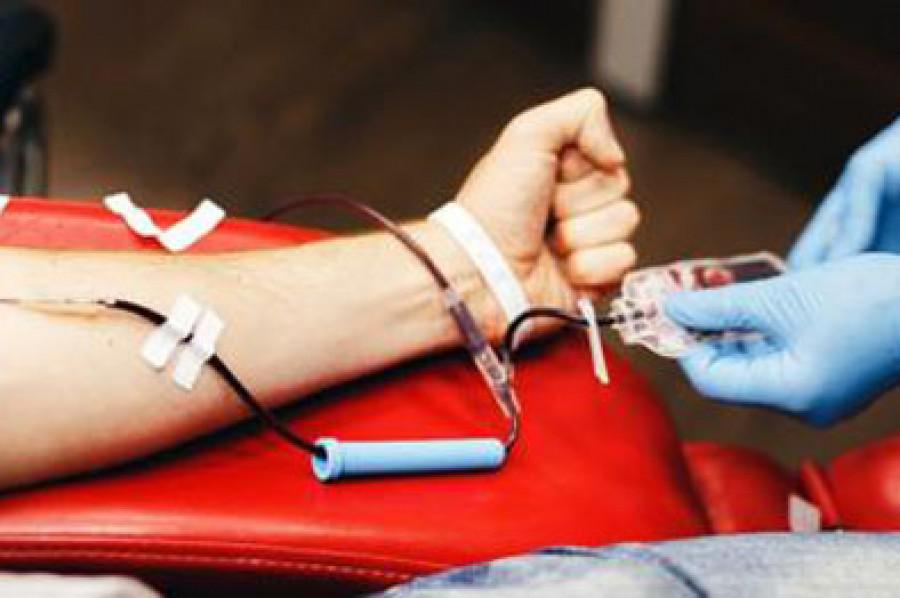 69395-el-hospital-san-bernardo-solicita-donacion-de-sangre