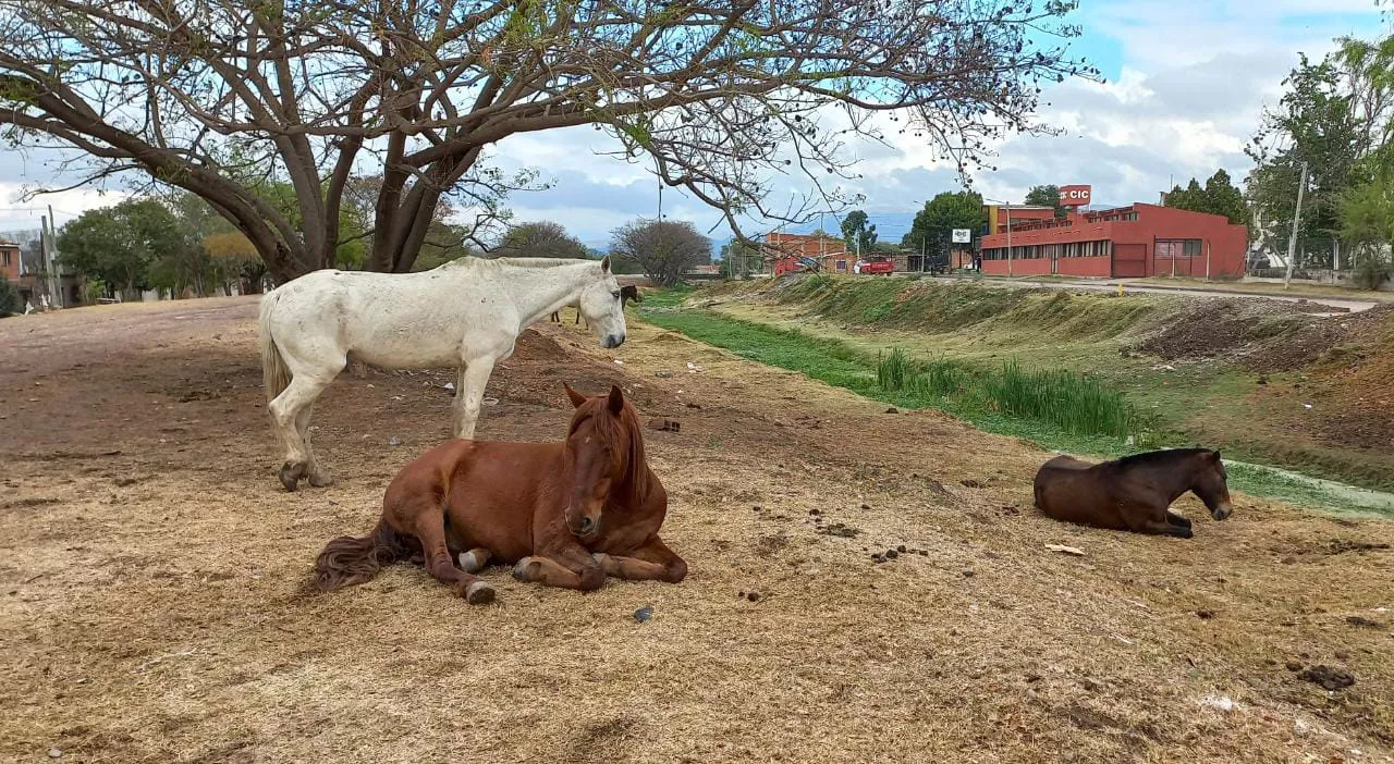 WhatsApp Image 2022-09-29 at 10.23.06