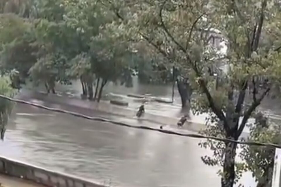 imagen_2024-03-21_085657317