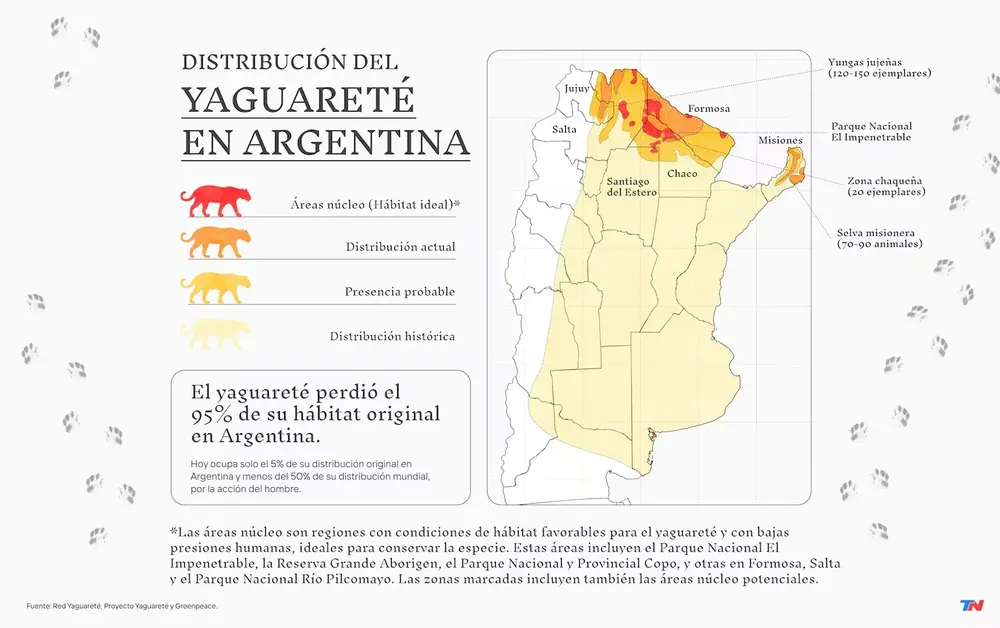 infografia-ivan-paulucci-tn-Y3ILNB23PBEOTAZT3G5LVSCZHA
