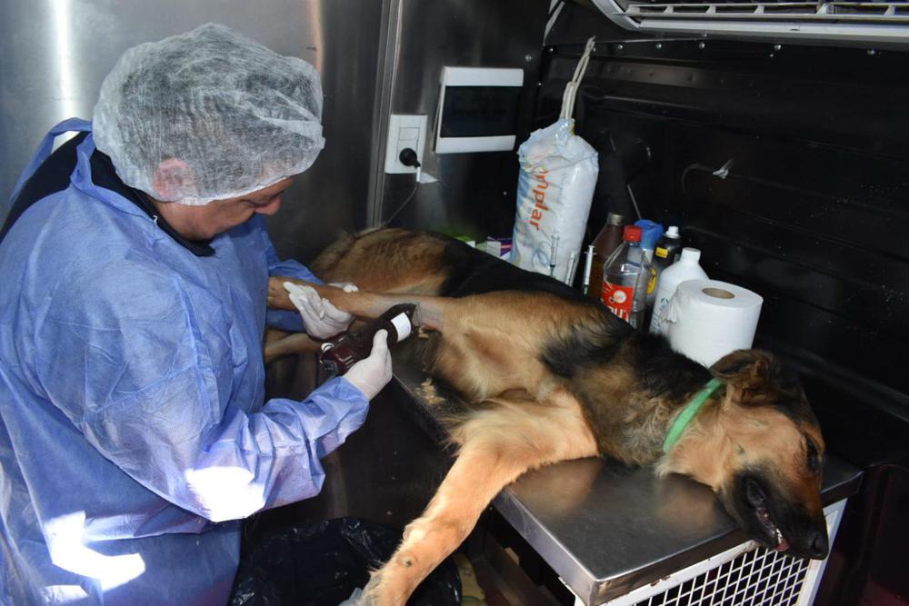 movil-quirurgico-54-1536x1024