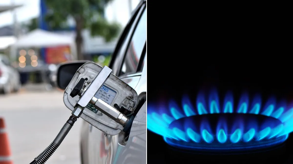 gas-gnc-2024-energiajpg