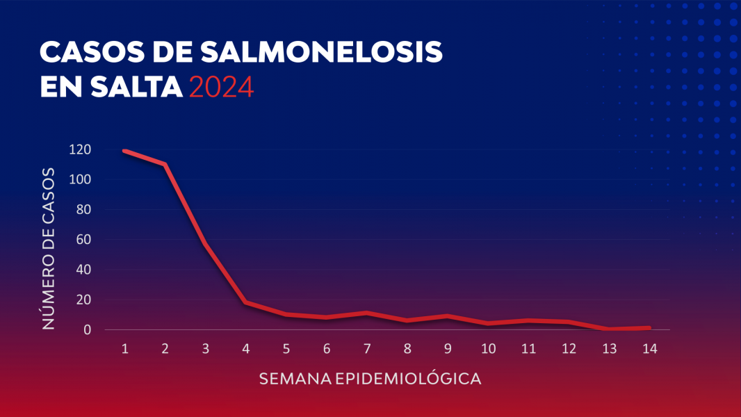 95352-disminuyeron-significativamente-los-casos-de-salmonelosis-en-salta