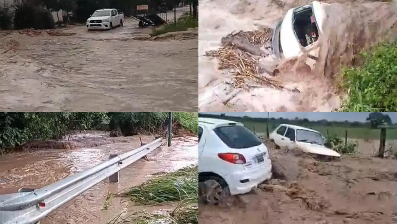 WhatsApp Image 2026-01-08 at 09.00.17