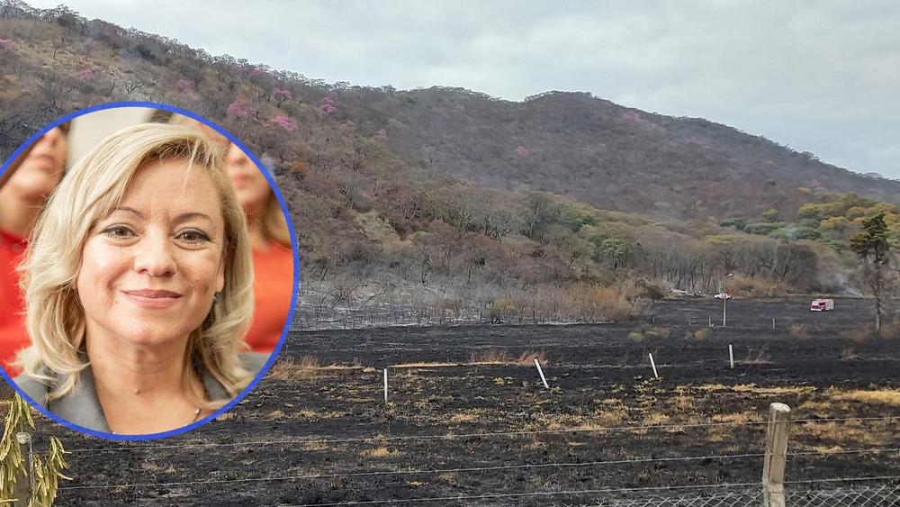 frida fonseca incendio