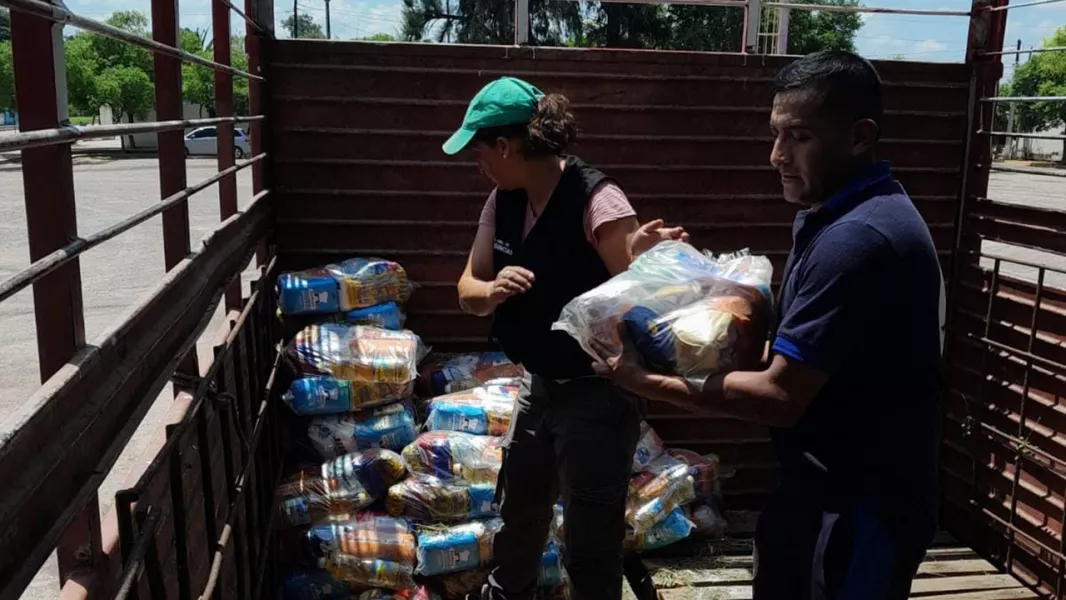 multimedia.normal.bd27aa5825225b6f.bm9ybWFsLndlYnA=