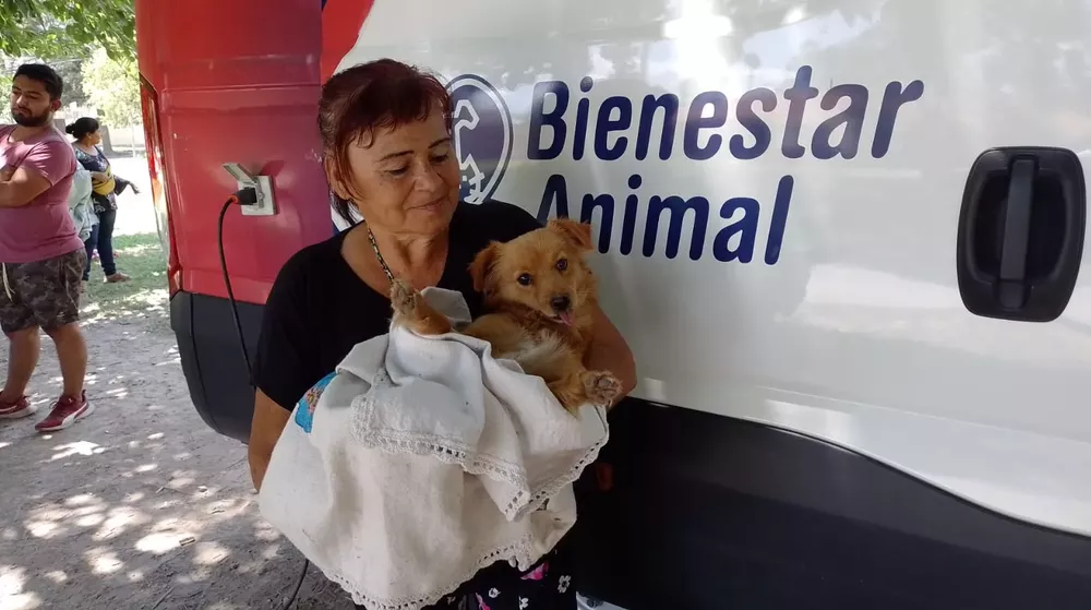 movil-quirurgico-20-a