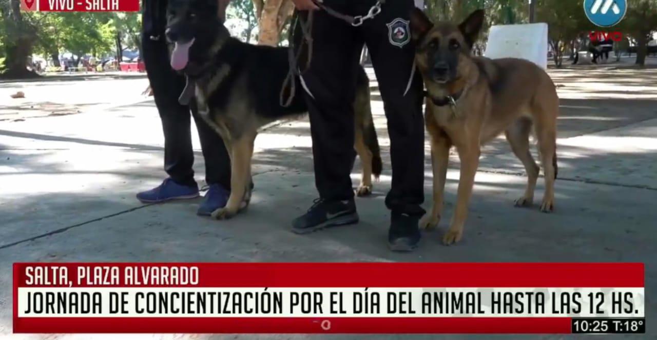 WhatsApp Image 2024-04-29 at 11.04.51 (3)