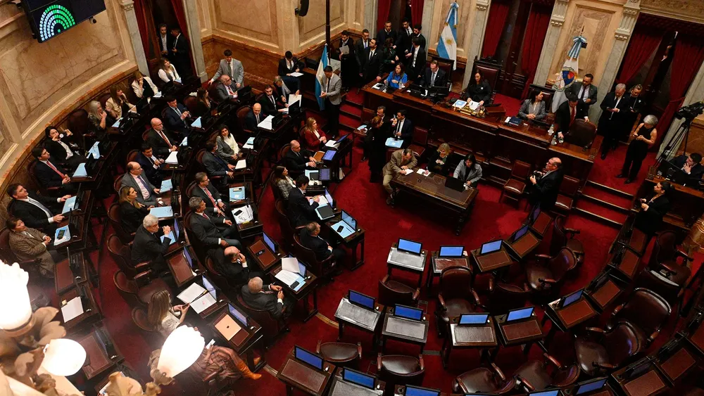 169-Senado-Ley-Bases-12.06.2024-foto-Somos-Telam